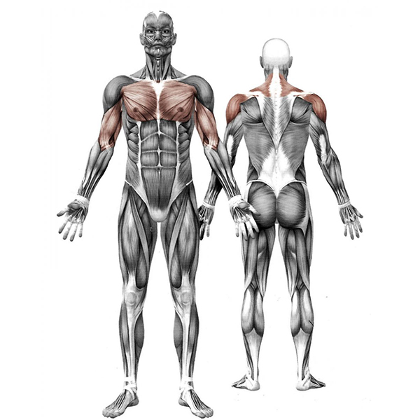 Aparat fitness - Pectorali - imagine 3
