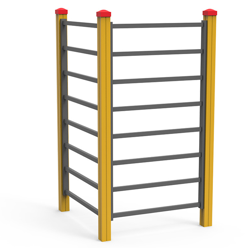 Aparat gimnastica spalier dublu SW254