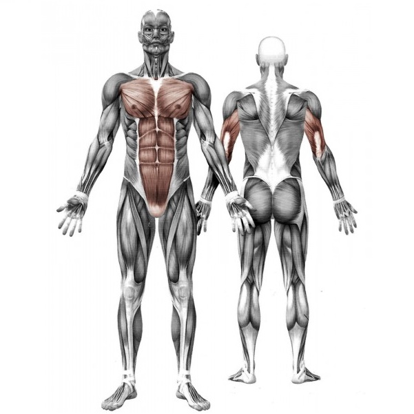 Aparat fitnes Banca abdomene AF107