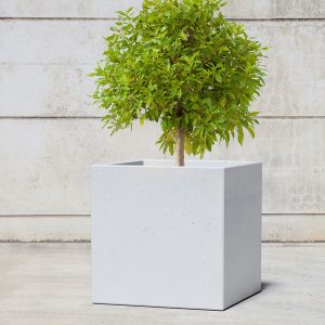 Jardiniera din beton de forma cubica UM882