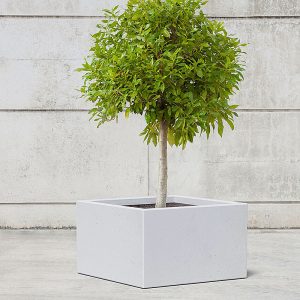 Jardiniera patrata din beton UM872