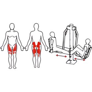 Aparat fitness Picioare si Fesieri AF200