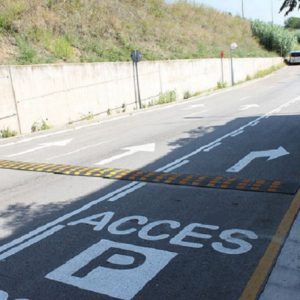 Limitator de viteza EM100