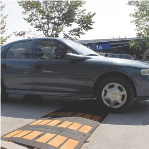 Limitator de viteza EM100