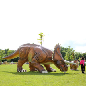 Figurina decorativa Triceratops masiv UMM551