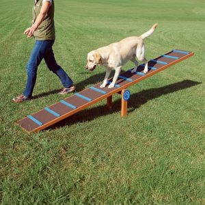 Obstacol agilitate Balansoar UMC08 parc