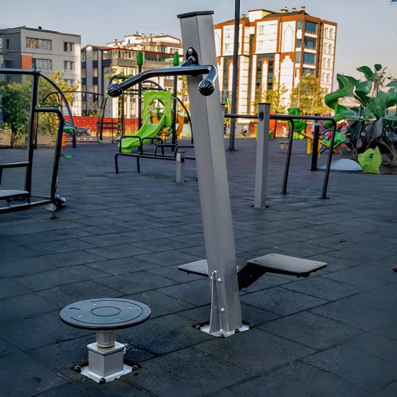 Aparat fitness Stepper si Twist AFP101