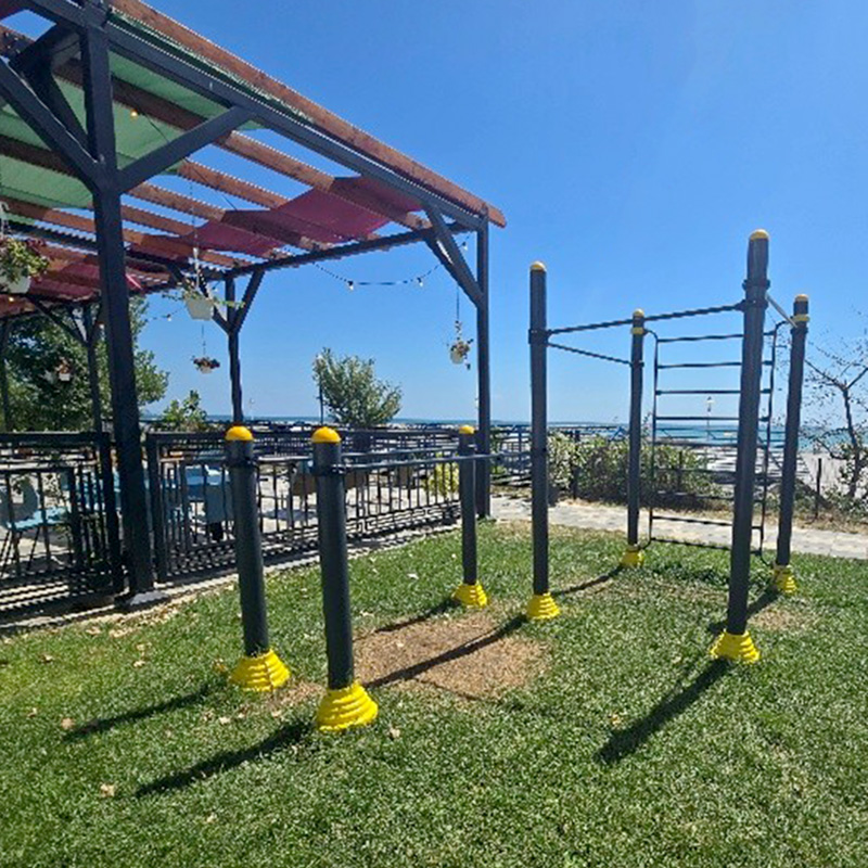 Echipament gimnastica multifunctional AF502 bare tractiune street workout